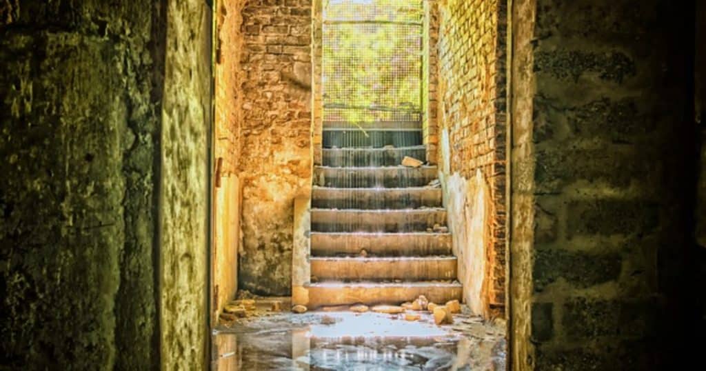 Read more about the article The Artistry of Landscape Drainage: French Drain Experts